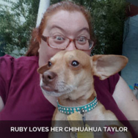 Ruby-loves-her-chihuahua-Taylor-caption